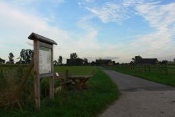 Blick auf die Häuser von Schadendorf